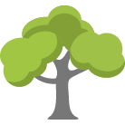 Dayton Tree Trimming