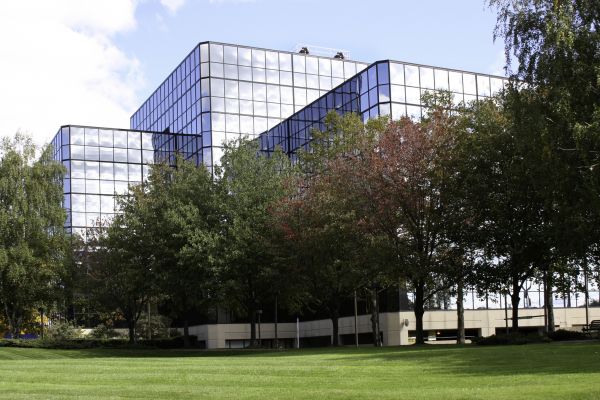 Commercial Tree Trimming in Dayton